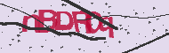Captcha認証コード